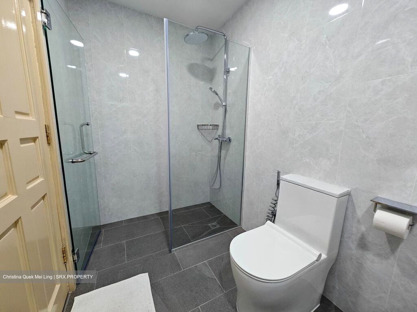 La Crystal (D9), Apartment #548403351